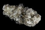 Dark Smoky Quartz Crystal Cluster - Brazil #124565-1